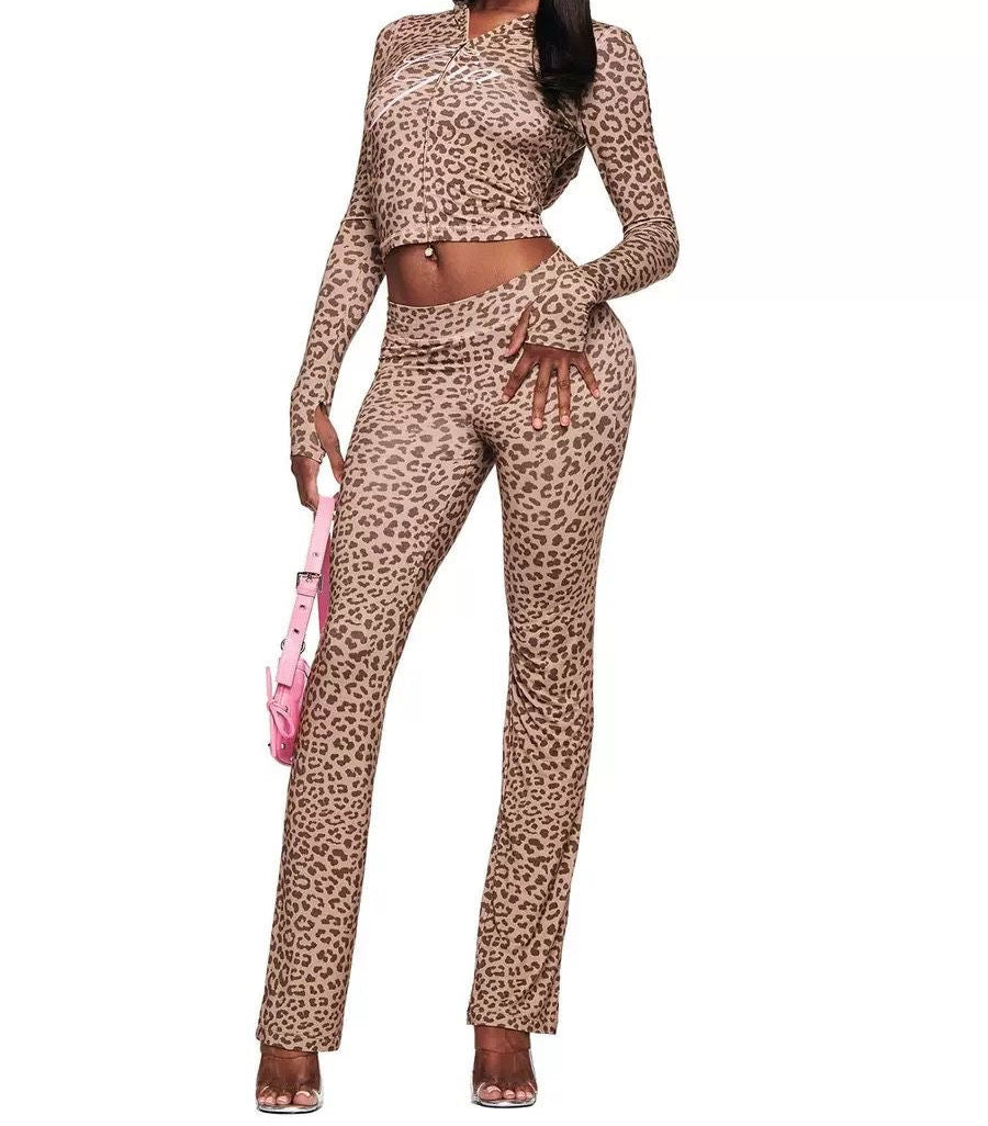 Gia Print Curve Sets